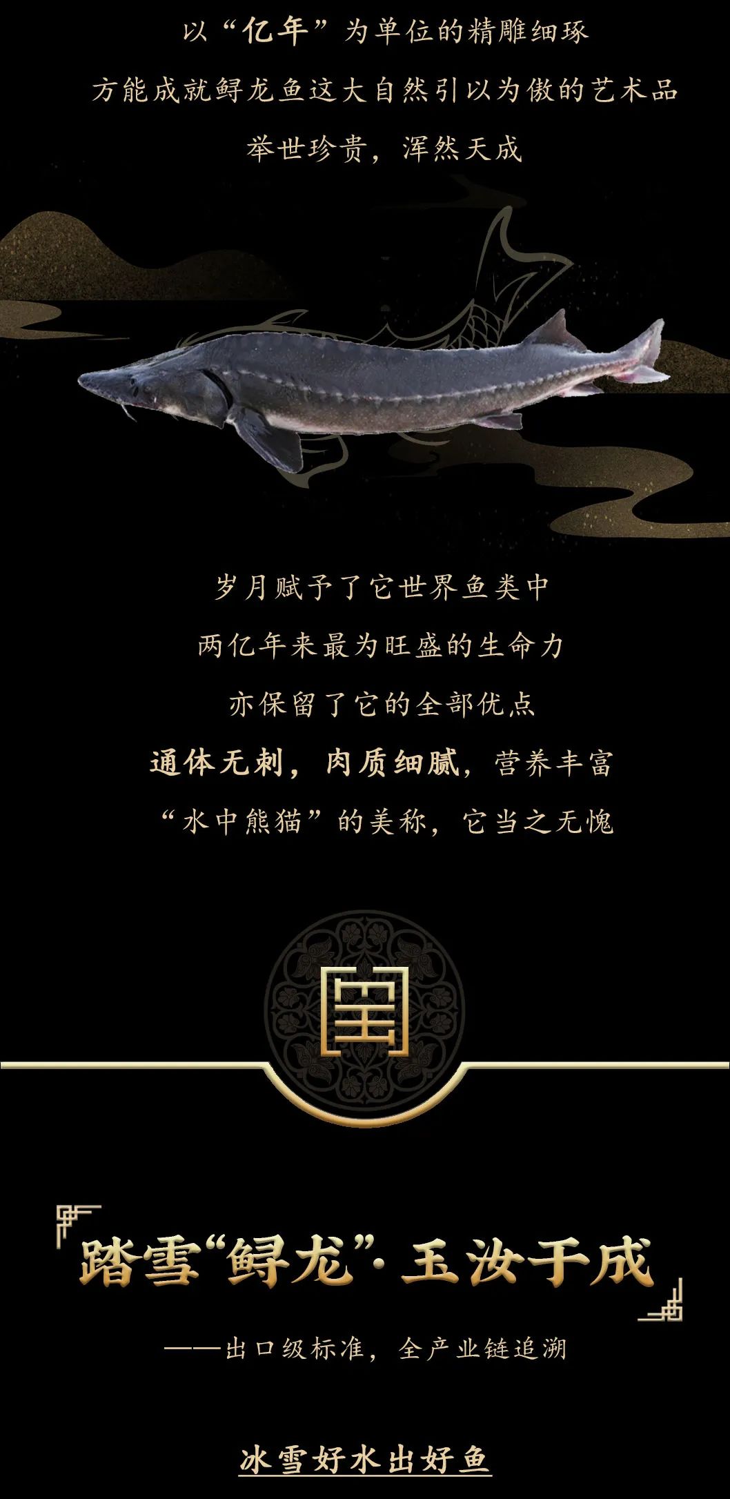 九州鱘龍魚片上新 | 自然臻藏，獻給吃魚有講究的人