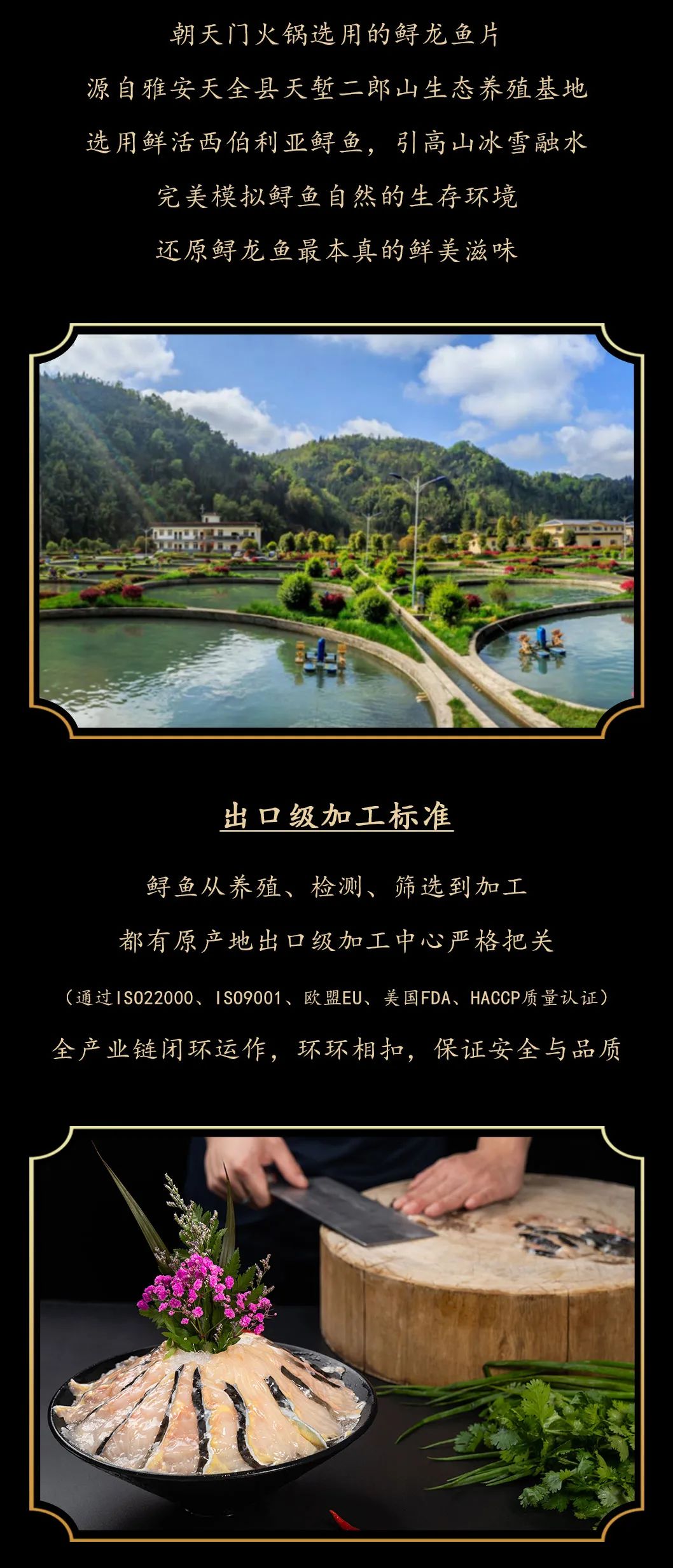 九州鱘龍魚片上新 | 自然臻藏，獻給吃魚有講究的人